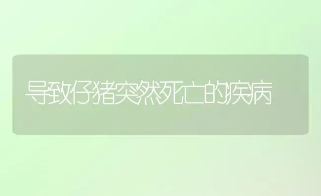 导致仔猪突然死亡的疾病 | 家畜养殖