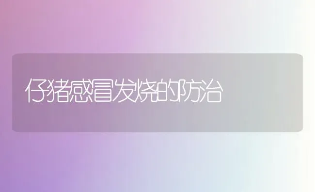 仔猪感冒发烧的防治 | 家畜养殖
