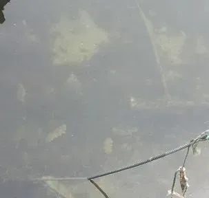海参养殖户轻松肥水治愈化皮防控青苔的秘诀