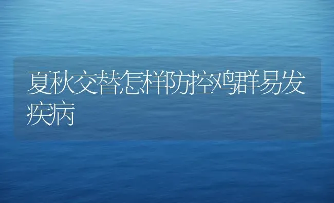 夏秋交替怎样防控鸡群易发疾病 | 家禽养殖