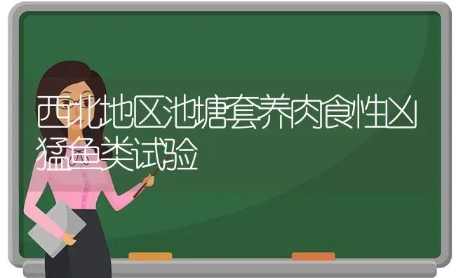西北地区池塘套养肉食性凶猛鱼类试验 | 动物养殖百科