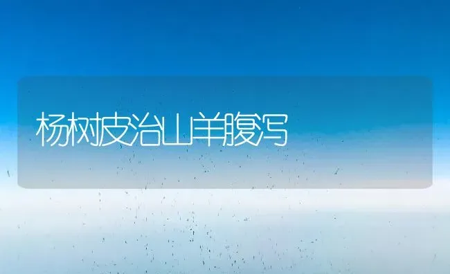 杨树皮治山羊腹泻 | 家畜养殖