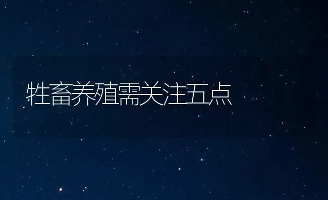 牲畜养殖需关注五点 | 家畜养殖