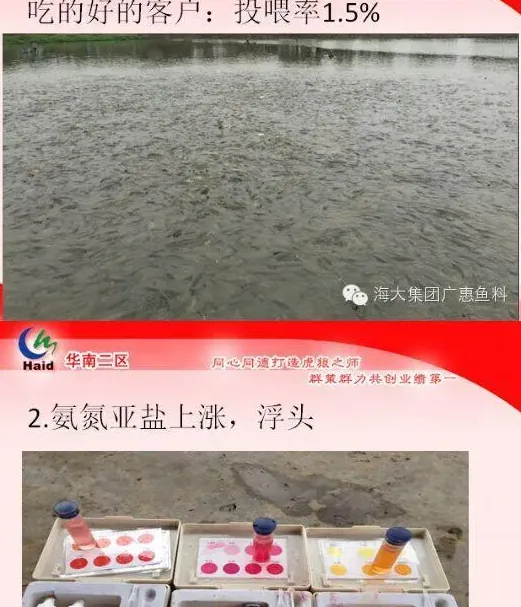 四五月份持续阴雨天鱼塘管理方案