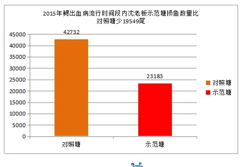 一垅之隔，为何鲫鱼“鳃出血病”死亡率差那么多？