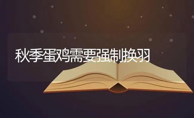 秋季蛋鸡需要强制换羽 | 家禽养殖