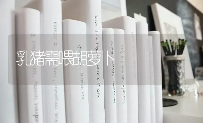 乳猪需喂胡萝卜 | 家畜养殖