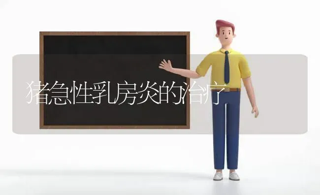 猪急性乳房炎的治疗 | 家畜养殖