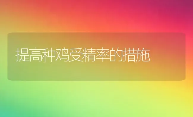 提高种鸡受精率的措施 | 家禽养殖