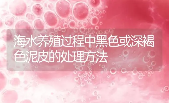 海水养殖过程中黑色或深褐色泥皮的处理方法 | 动物养殖百科