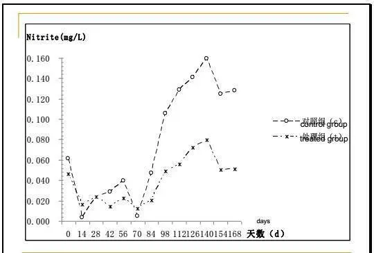 江兴龙教授谈池塘生物膜低碳养殖技术