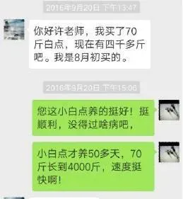 海参育苗行业竞争日益激烈，运用水质修复技术让你不再压力山大