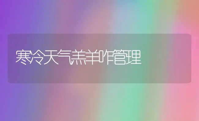 寒冷天气羔羊咋管理 | 家畜养殖