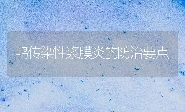 鸭传染性浆膜炎的防治要点 | 家禽养殖