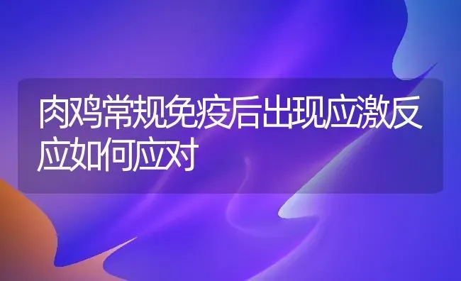 肉鸡常规免疫后出现应激反应如何应对 | 家禽养殖