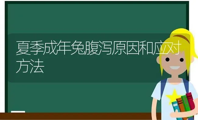 夏季成年兔腹泻原因和应对方法 | 家畜养殖