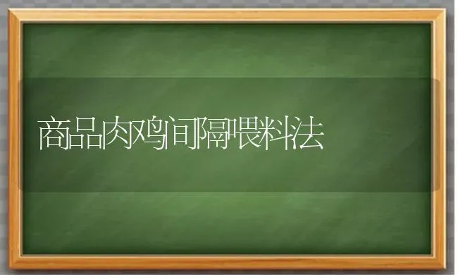 商品肉鸡间隔喂料法 | 家禽养殖
