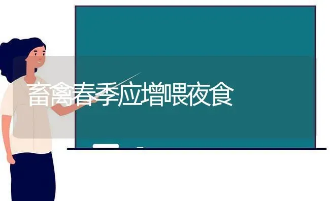 畜禽春季应增喂夜食 | 家禽养殖