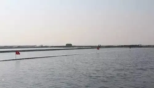 海参圈越冬期（封冰前）养殖攻略