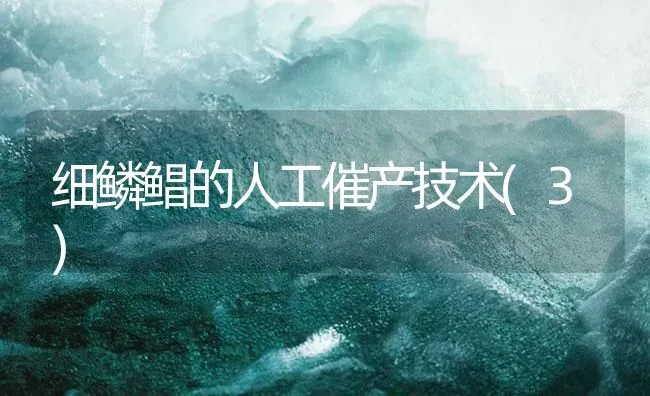 细鳞鲳的人工催产技术(3) | 海水养殖