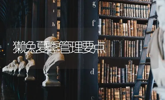 獭兔夏季管理要点 | 家畜养殖