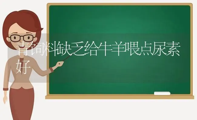 青饲料缺乏给牛羊喂点尿素好 | 家畜养殖