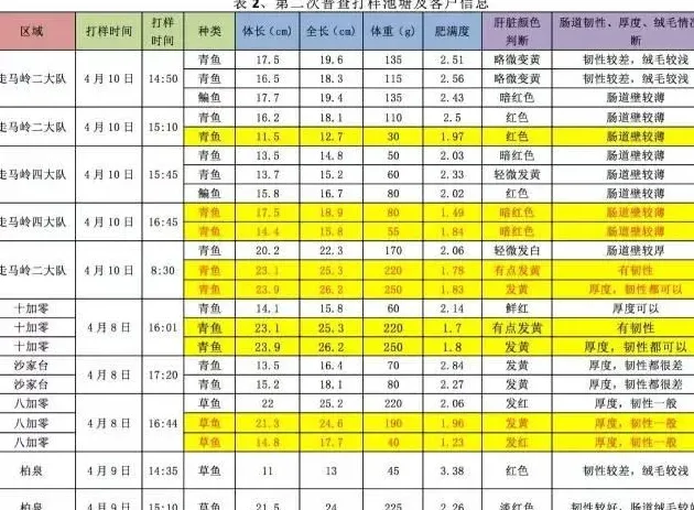 鱼苗价格飙升，鱼体健康堪忧，保苗内服刻不容缓