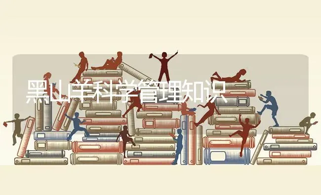 黑山羊科学管理知识 | 家畜养殖