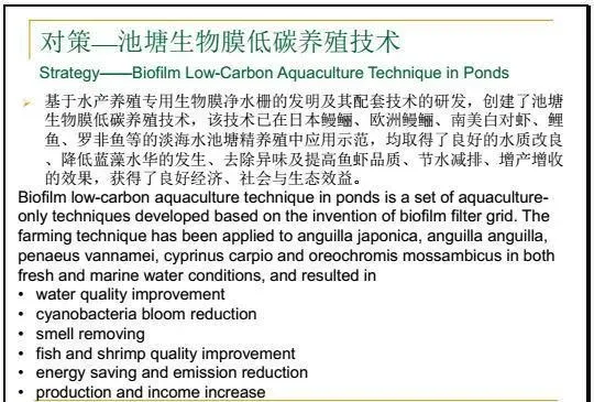 江兴龙教授谈池塘生物膜低碳养殖技术