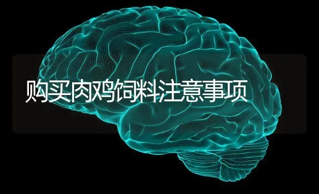 购买肉鸡饲料注意事项 | 家禽养殖