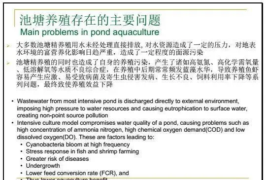 江兴龙教授谈池塘生物膜低碳养殖技术