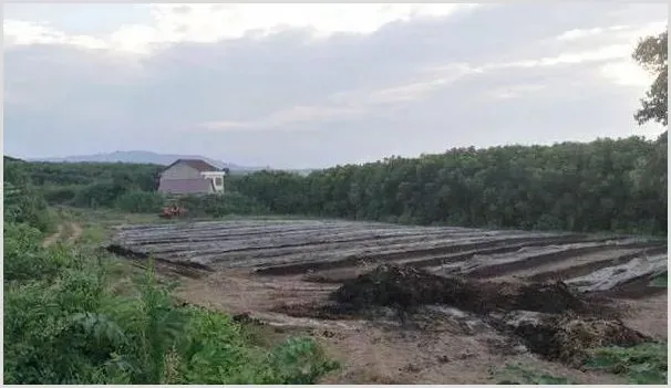 蚯蚓规模化关键养殖技术介绍 | 动物养殖资料