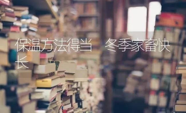 保温方法得当 冬季家畜快长 | 家畜养殖