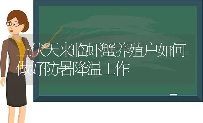 三伏天来临虾蟹养殖户如何做好防暑降温工作 | 动物养殖百科