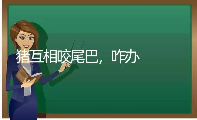 猪互相咬尾巴，咋办 | 家畜养殖