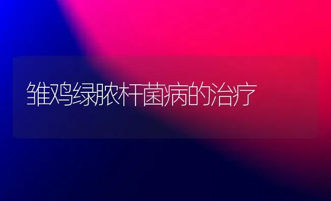 雏鸡绿脓杆菌病的治疗 | 家禽养殖