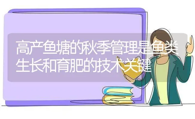 高产鱼塘的秋季管理是鱼类生长和育肥的技术关键 | 动物养殖百科