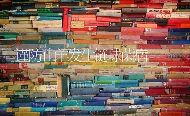 谨防山羊发生链球菌病 | 家畜养殖