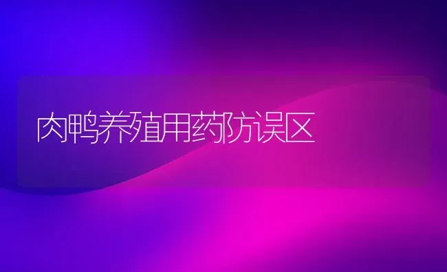 肉鸭养殖用药防误区 | 养殖病虫害防治