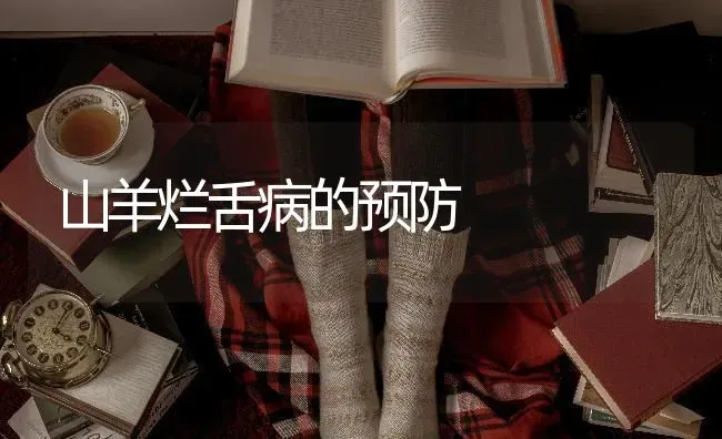 山羊烂舌病的预防 | 家畜养殖