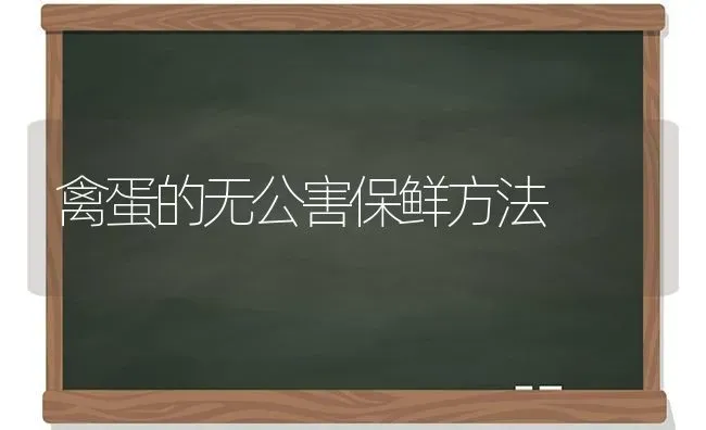 禽蛋的无公害保鲜方法 | 家禽养殖