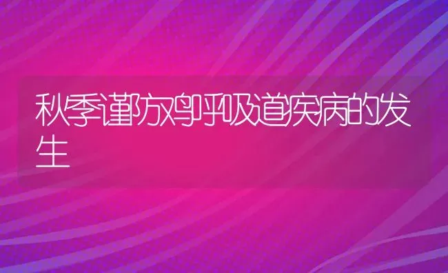 秋季谨防鸡呼吸道疾病的发生 | 家禽养殖