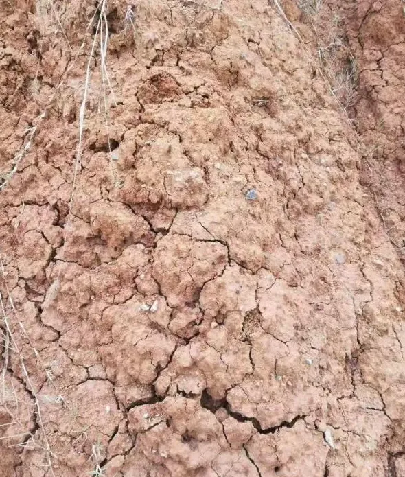 养殖小龙虾还要懂“风水”？“风水”好，自然会成“宝地”