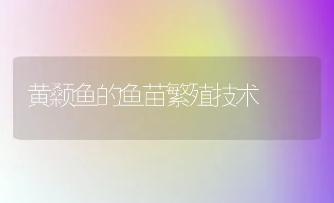 黄颡鱼的鱼苗繁殖技术 | 淡水养殖