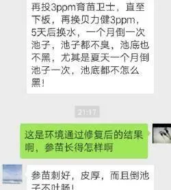 海参育苗行业竞争日益激烈，运用水质修复技术让你不再压力山大