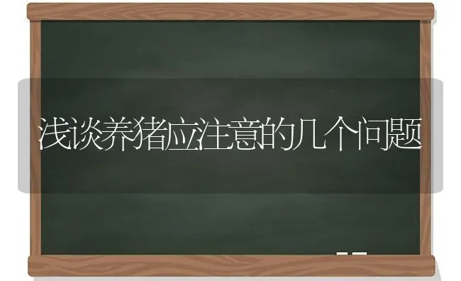 浅谈养猪应注意的几个问题 | 家畜养殖