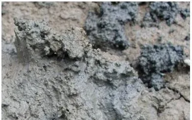 强力拜生源及诺碧清生物氧化剂在南美白对虾养殖过程的使用分享