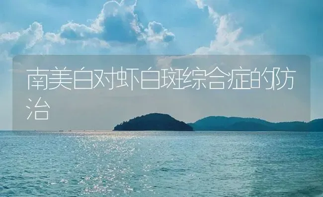 南美白对虾白斑综合症的防治 | 海水养殖