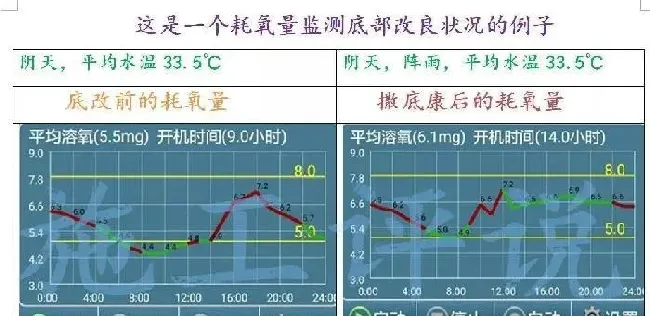 如果底改没有针对性，养殖户可能就是在白花钱、做无用功！