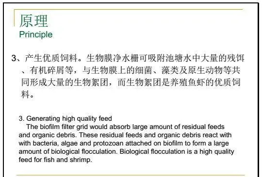 江兴龙教授谈池塘生物膜低碳养殖技术